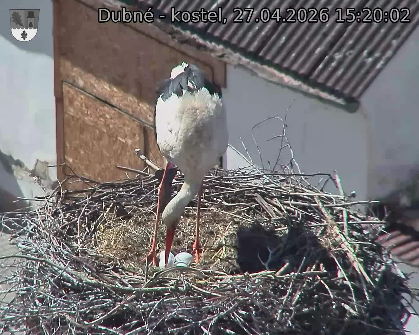 Capi_Dubne_20260427_152002.jpg (1350&nbsp;x&nbsp;1080)