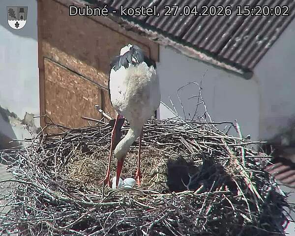 Capi_Dubne_20260427_152002.jpg (1350&nbsp;x&nbsp;1080)