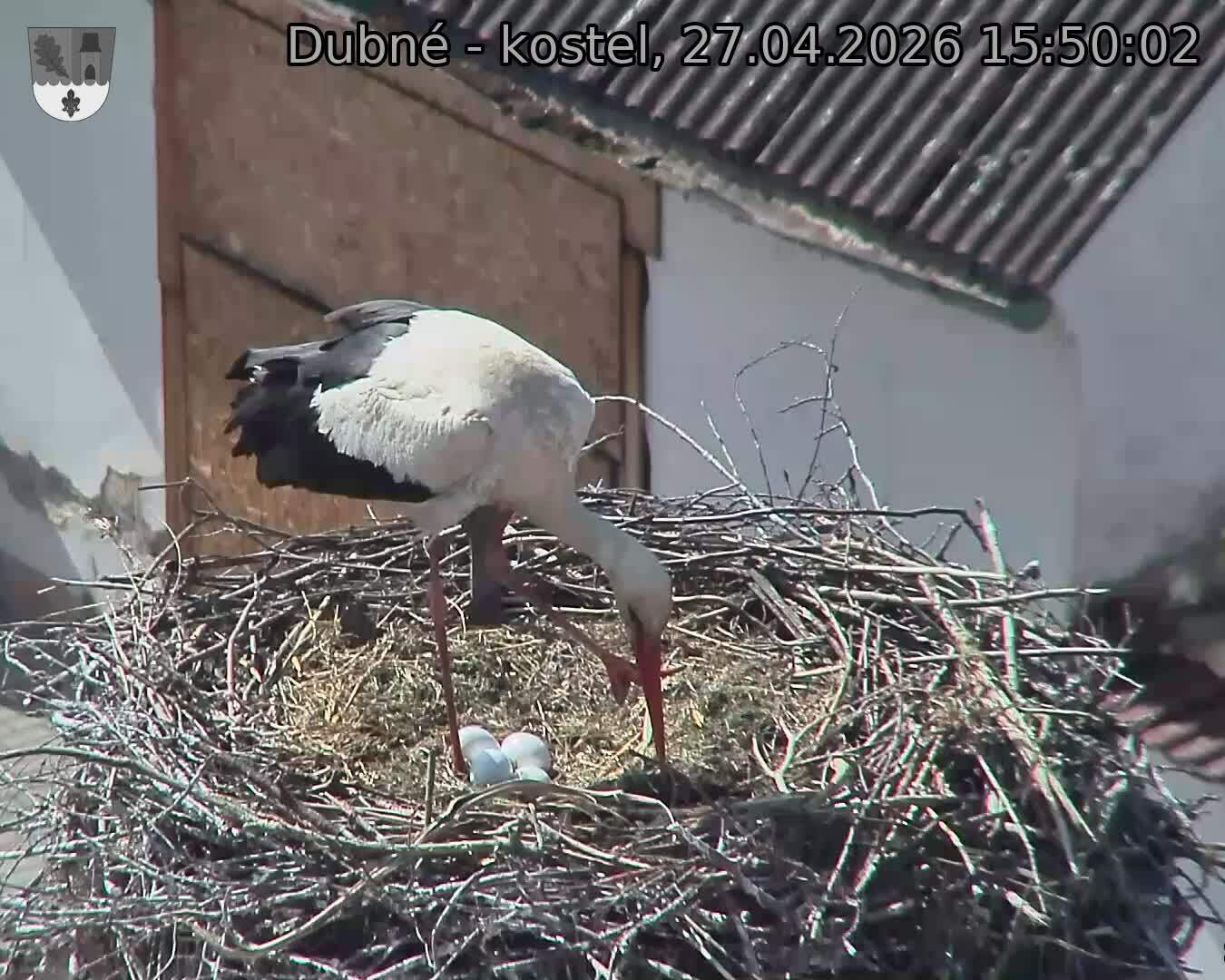 Capi_Dubne_20260427_155002.jpg (1350&nbsp;x&nbsp;1080)