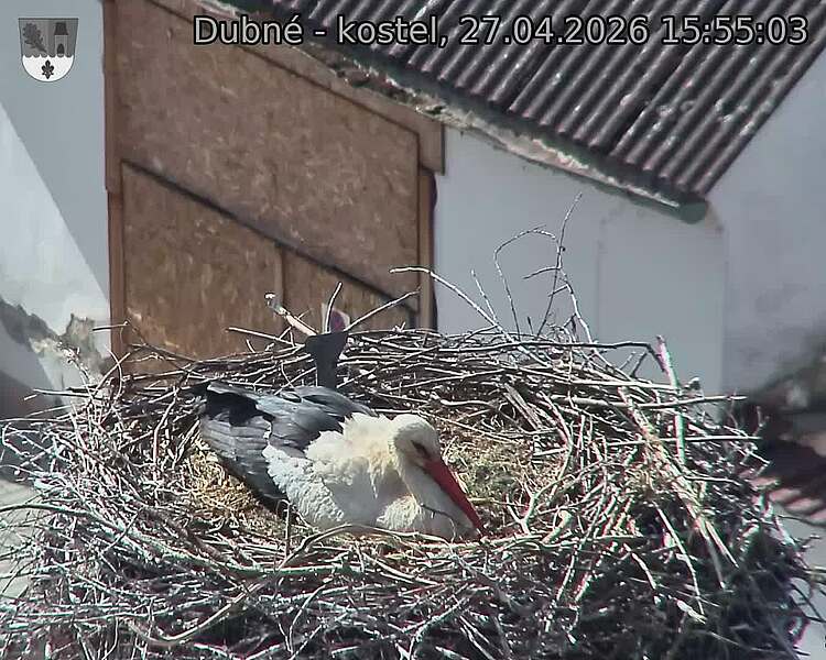 Capi_Dubne_20260427_155503.jpg (1350&nbsp;x&nbsp;1080)