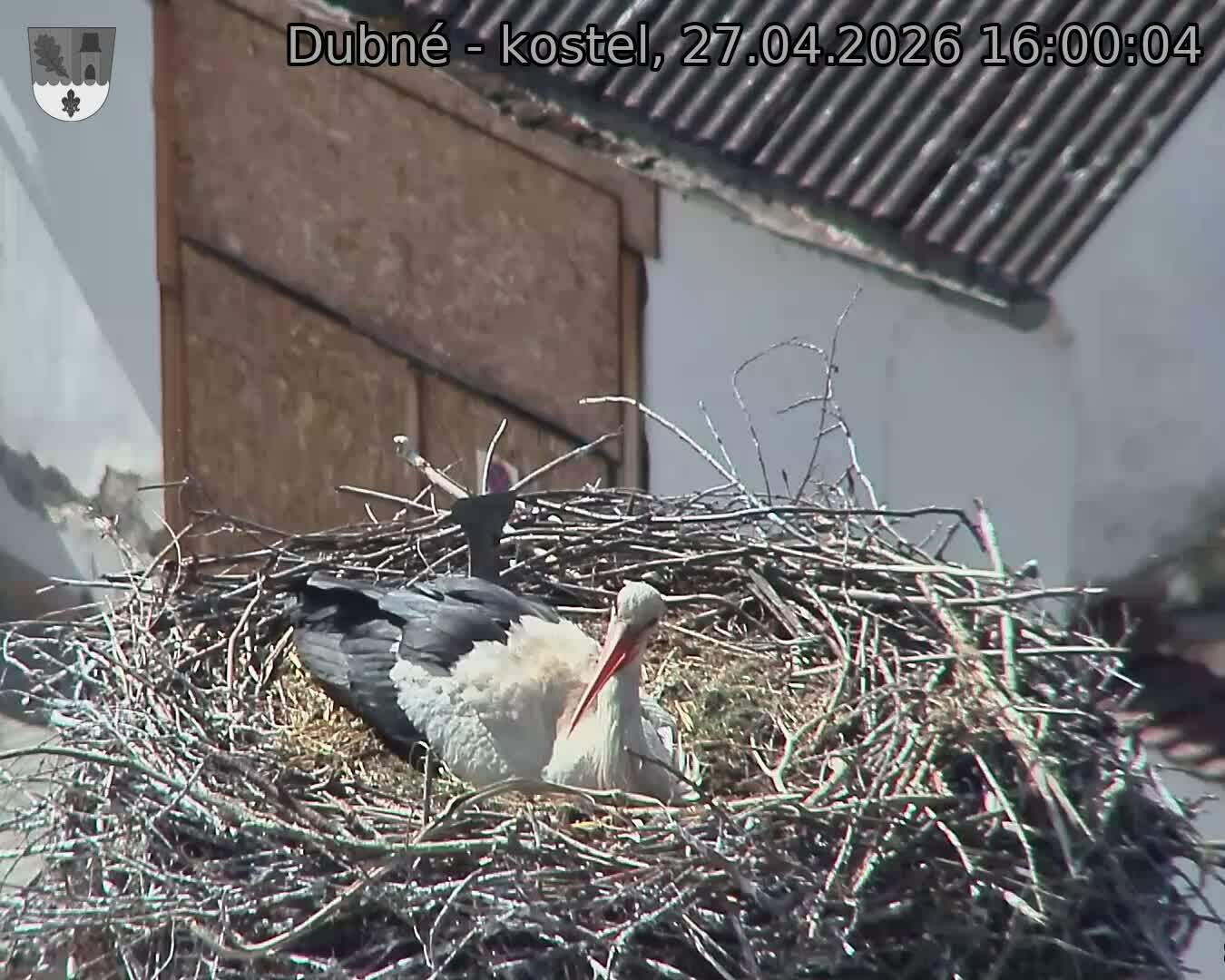 Capi_Dubne_20260427_160004.jpg (1350&nbsp;x&nbsp;1080)