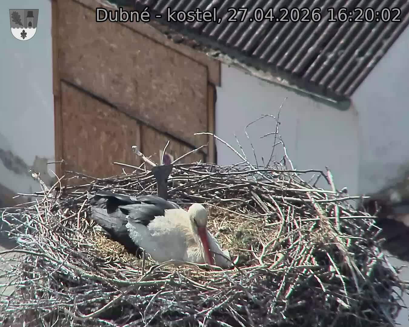 Capi_Dubne_20260427_162002.jpg (1350&nbsp;x&nbsp;1080)