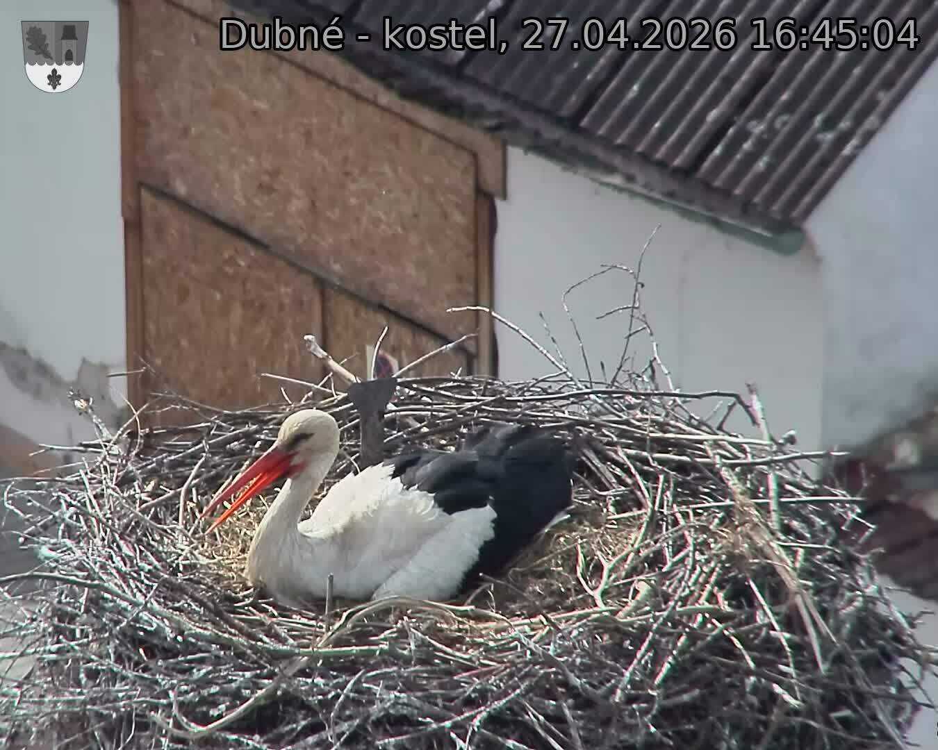 Capi_Dubne_20260427_164504.jpg (1350&nbsp;x&nbsp;1080)