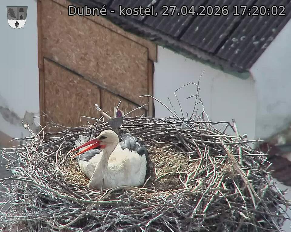 Capi_Dubne_20260427_172002.jpg (1350&nbsp;x&nbsp;1080)