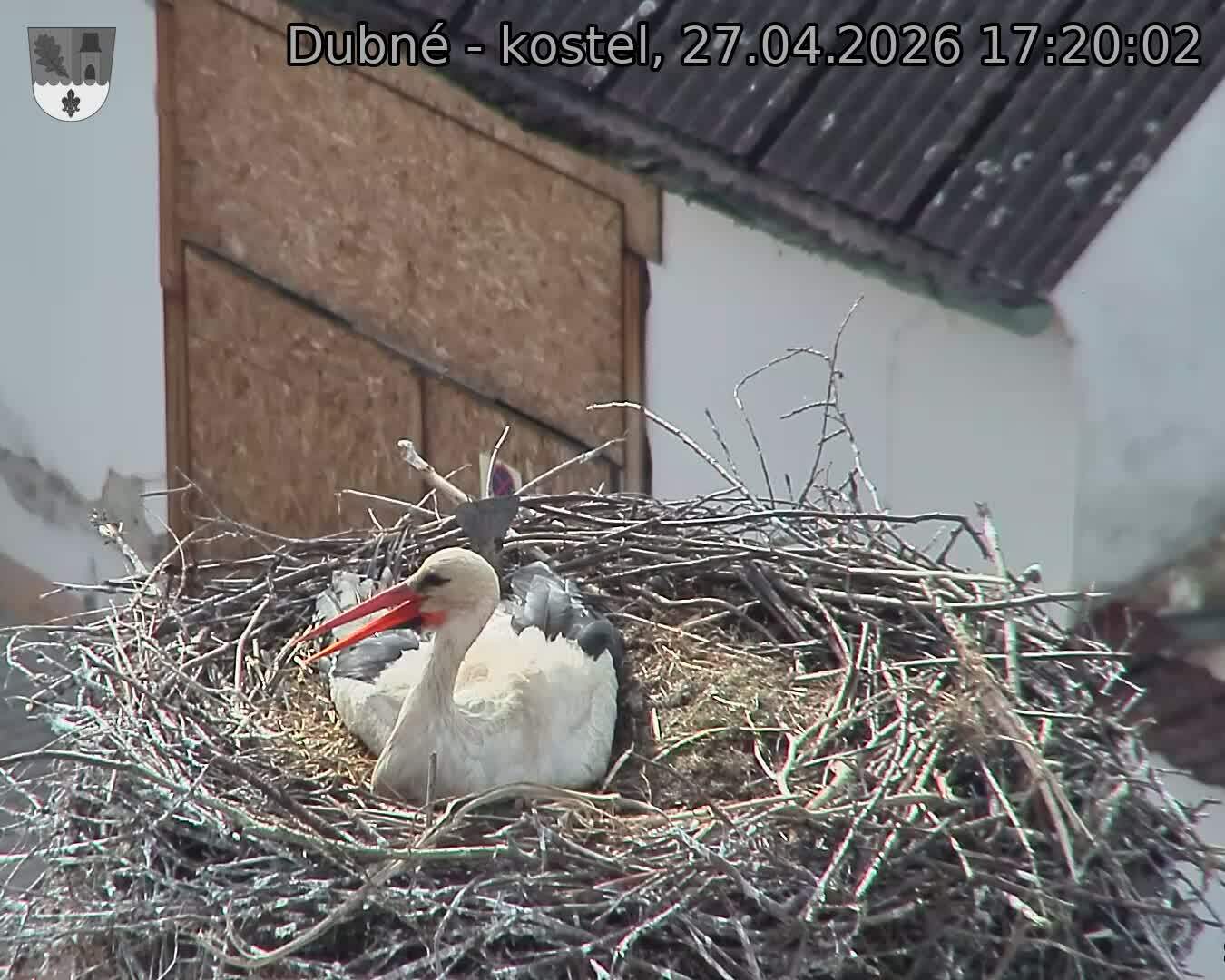 Capi_Dubne_20260427_172002.jpg (1350&nbsp;x&nbsp;1080)