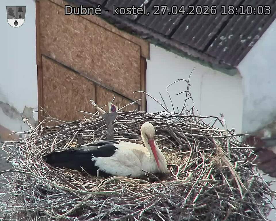 Capi_Dubne_20260427_181003.jpg (1350&nbsp;x&nbsp;1080)