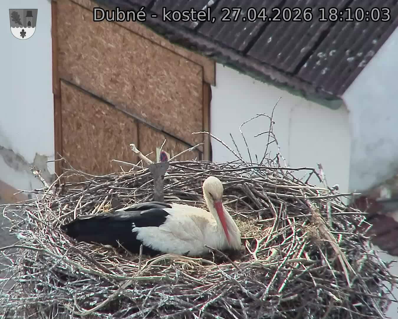 Capi_Dubne_20260427_181003.jpg (1350&nbsp;x&nbsp;1080)