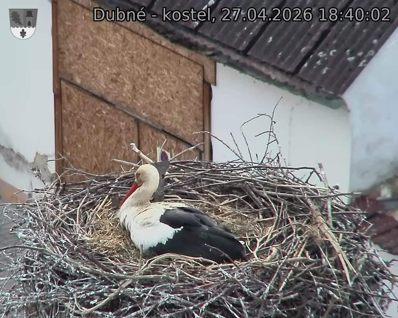 Capi_Dubne_20260427_184002.jpg (1350&nbsp;x&nbsp;1080)