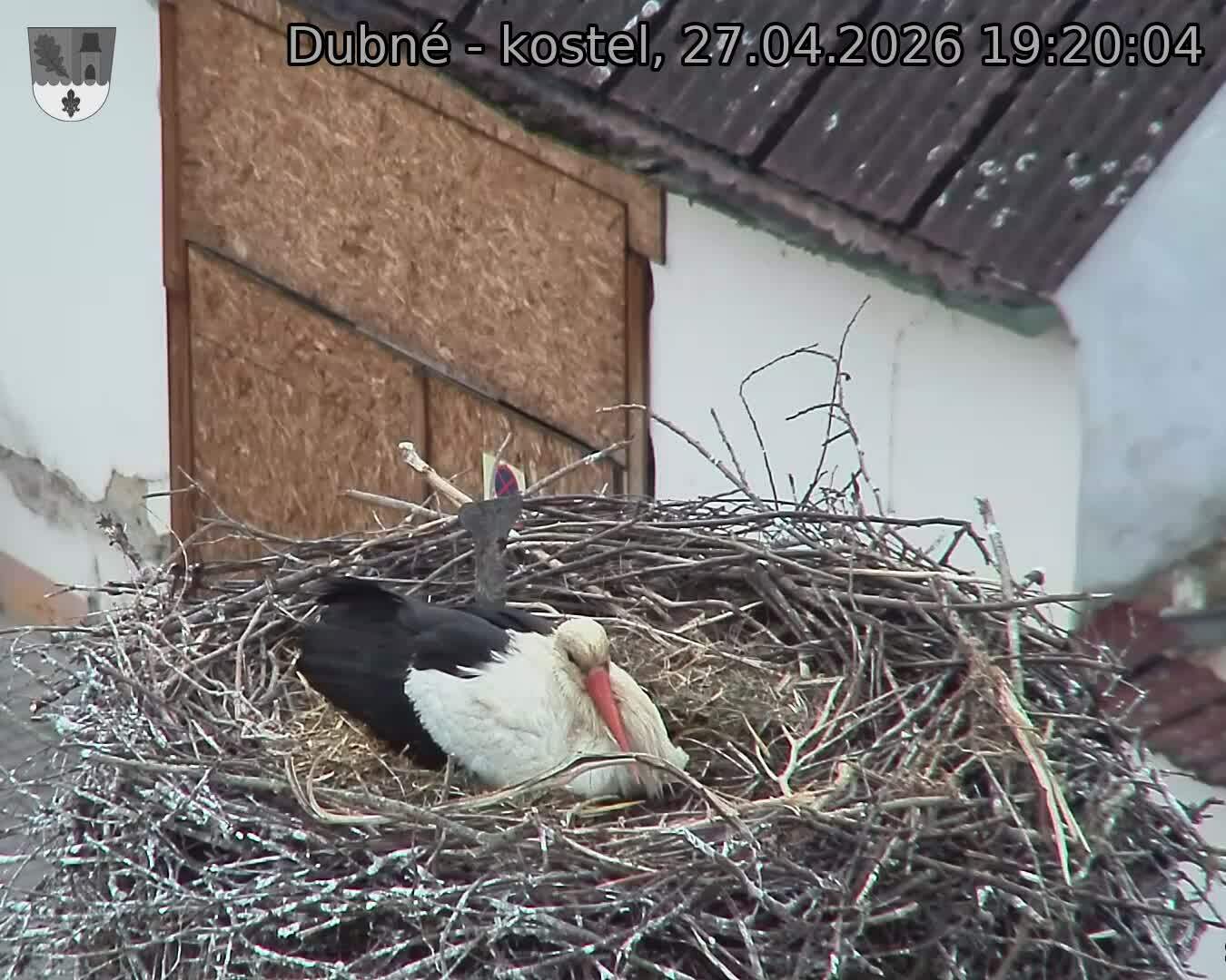 Capi_Dubne_20260427_192004.jpg (1350&nbsp;x&nbsp;1080)