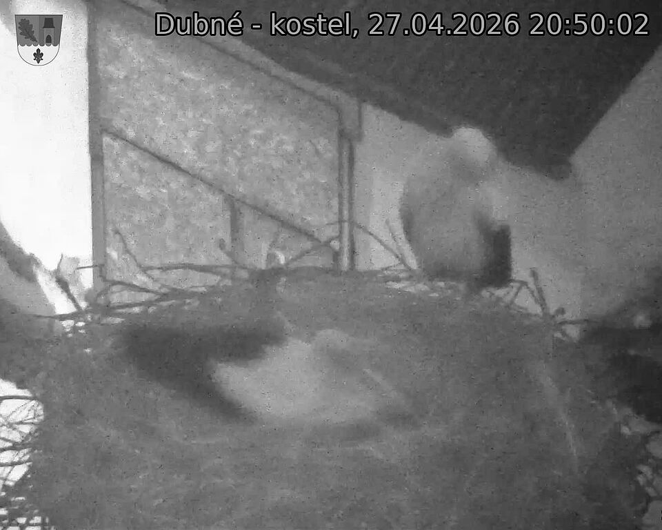 Capi_Dubne_20260427_205002.jpg (1350&nbsp;x&nbsp;1080)