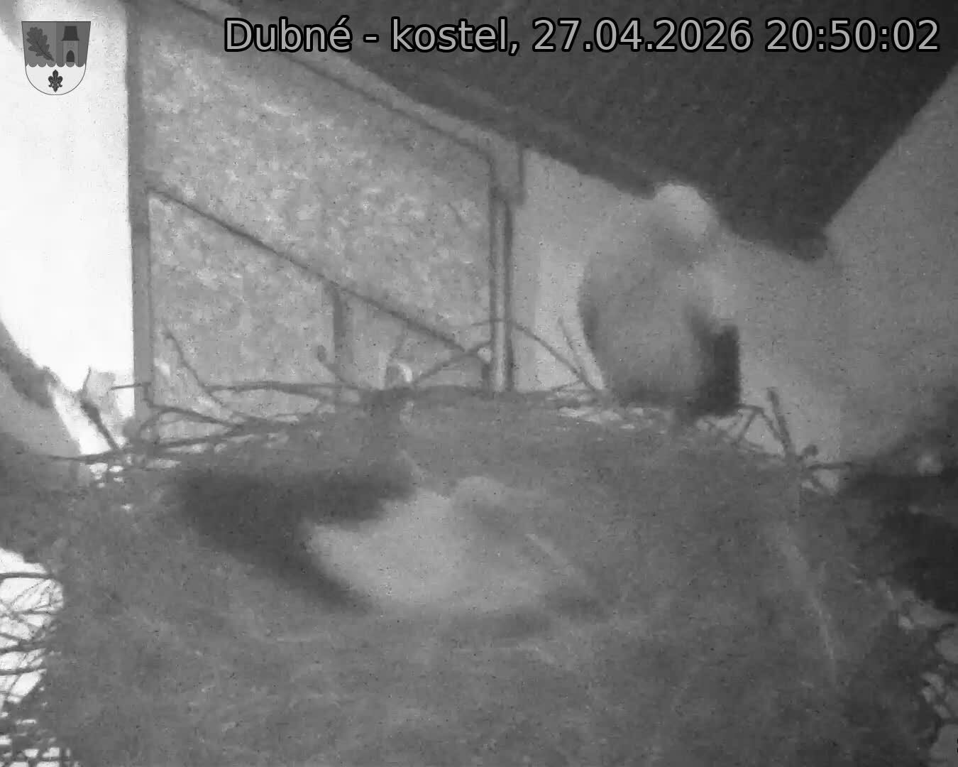 Capi_Dubne_20260427_205002.jpg (1350&nbsp;x&nbsp;1080)