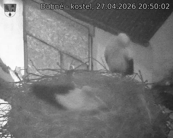 Capi_Dubne_20260427_205002.jpg (1350&nbsp;x&nbsp;1080)