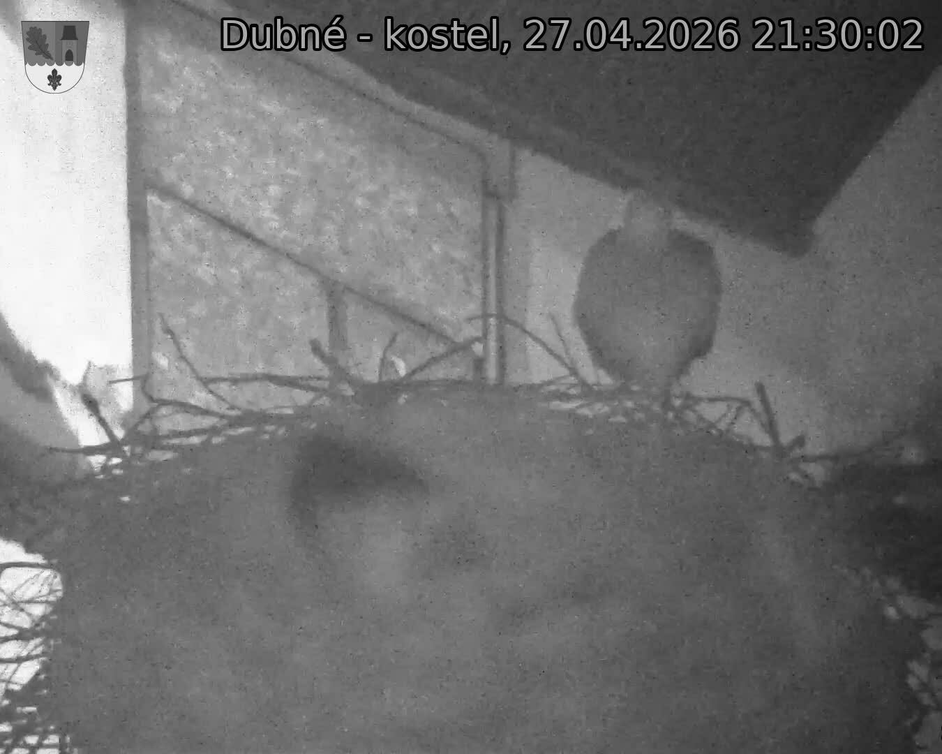 Capi_Dubne_20260427_213002.jpg (1350&nbsp;x&nbsp;1080)