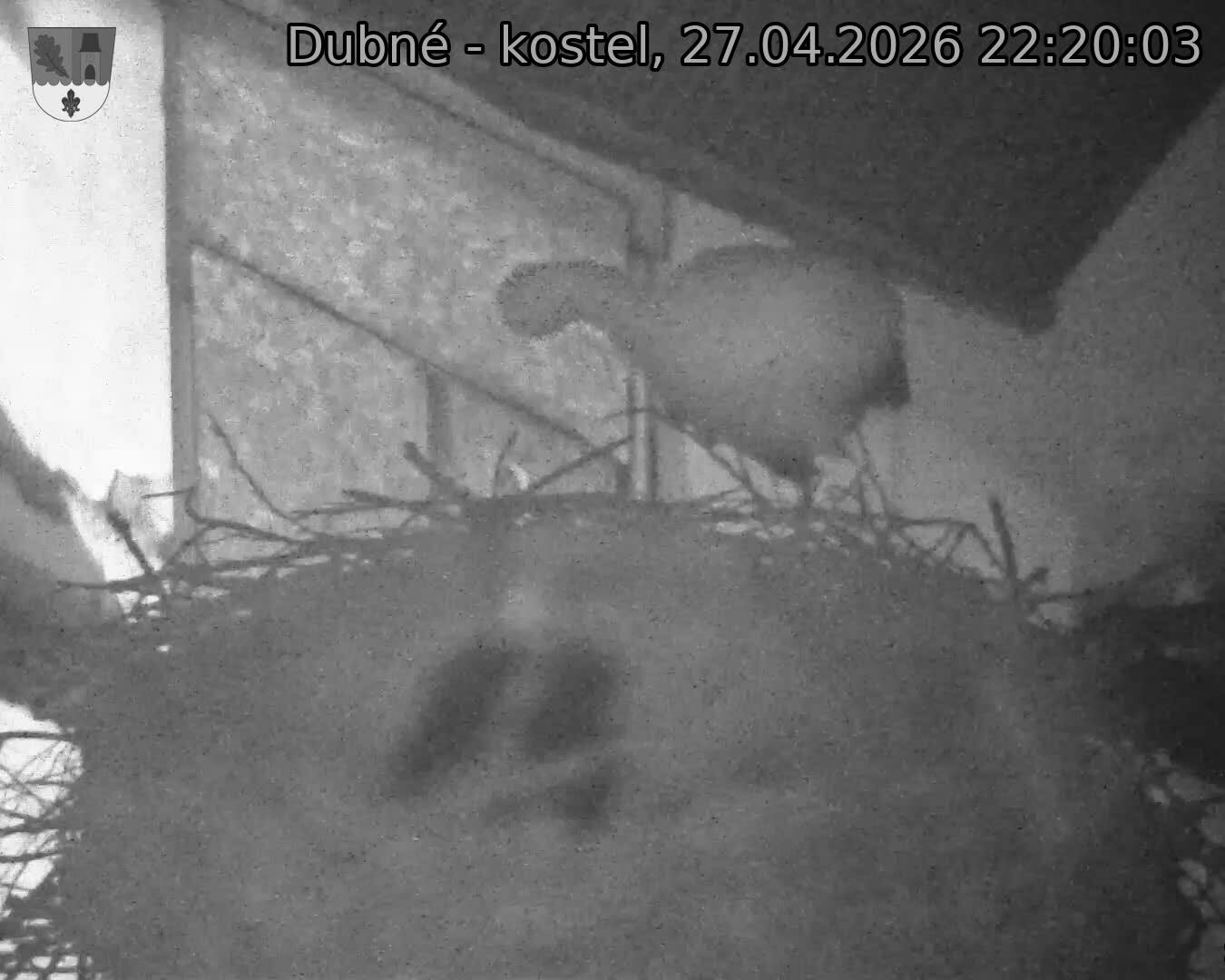 Capi_Dubne_20260427_222003.jpg (1350&nbsp;x&nbsp;1080)