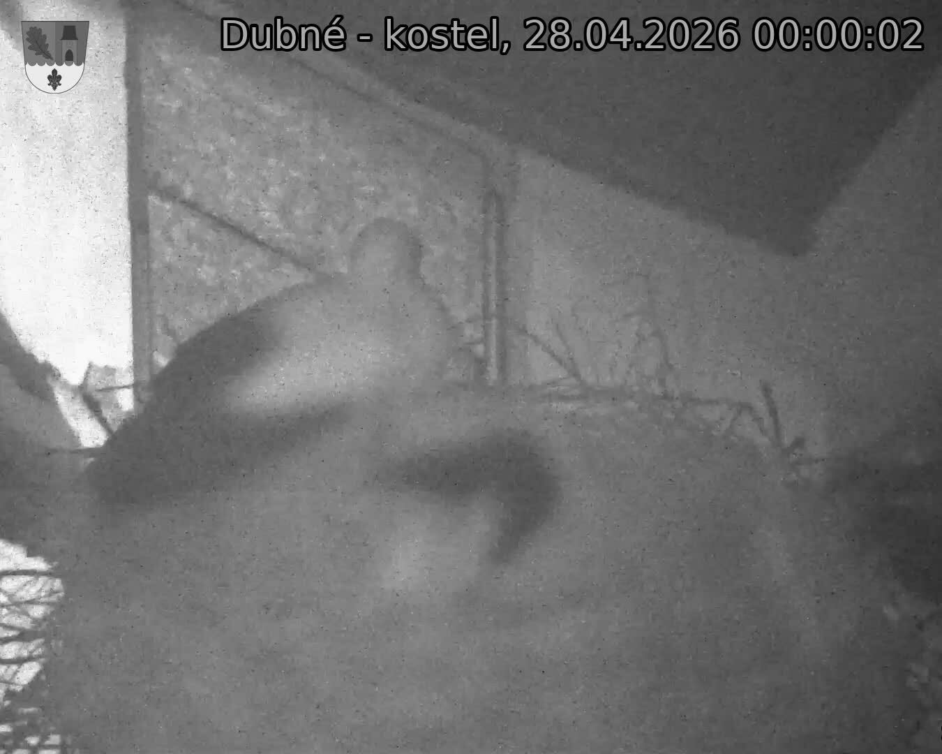 Capi_Dubne_20260428_000002.jpg (1350&nbsp;x&nbsp;1080)