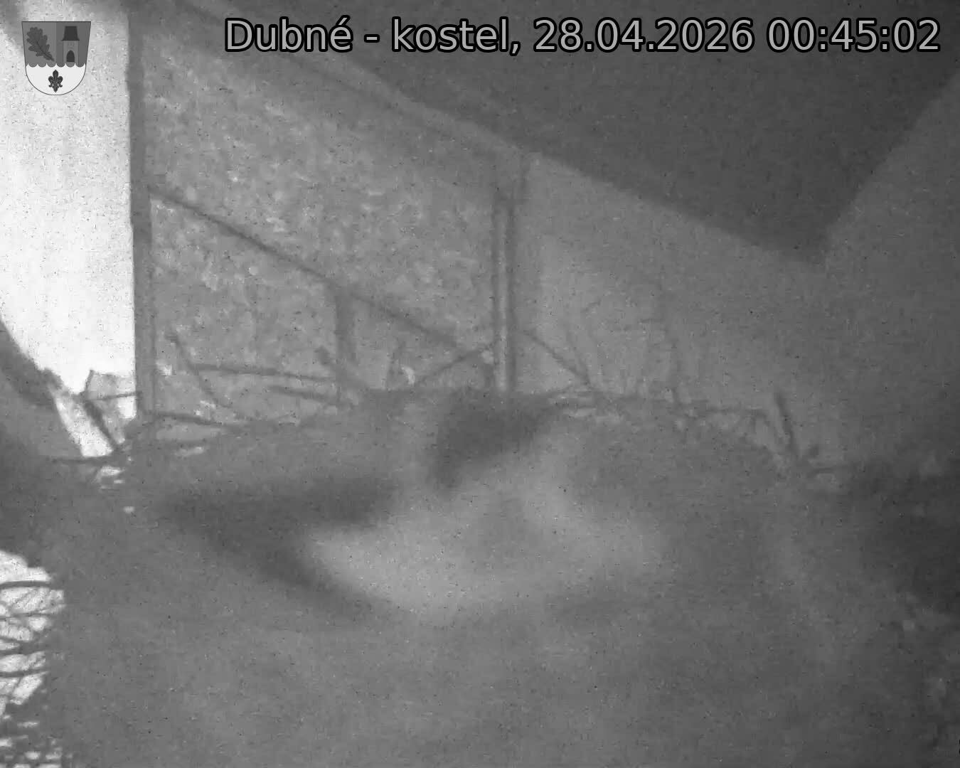 Capi_Dubne_20260428_004502.jpg (1350&nbsp;x&nbsp;1080)