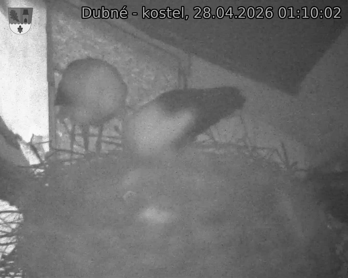 Capi_Dubne_20260428_011002.jpg (1350&nbsp;x&nbsp;1080)