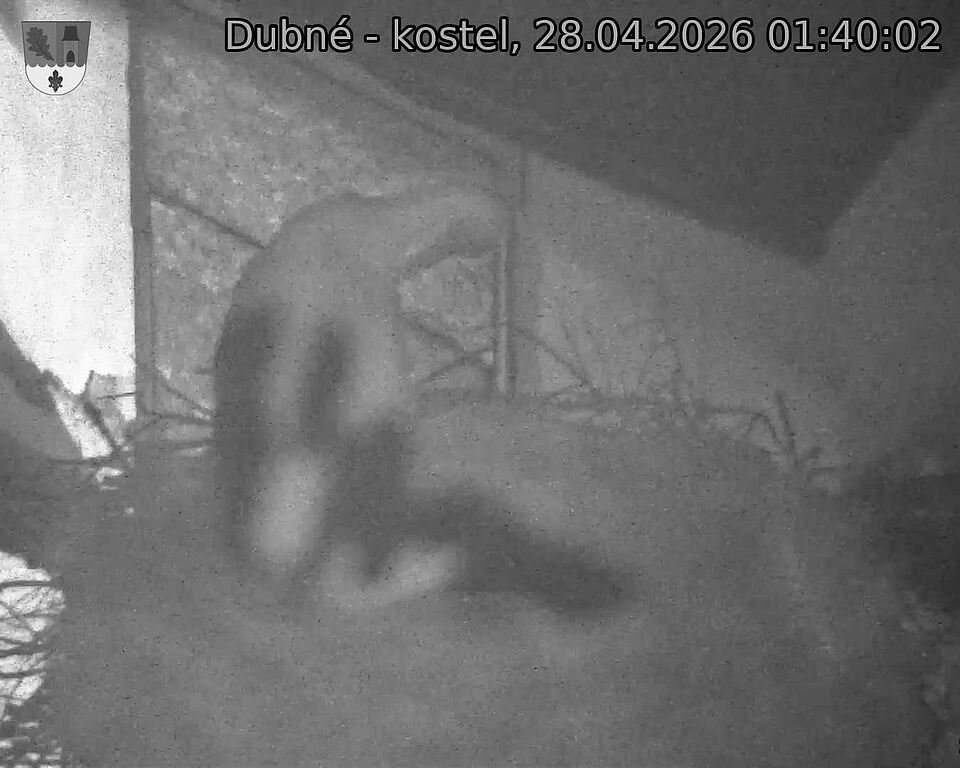 Capi_Dubne_20260428_014002.jpg (1350&nbsp;x&nbsp;1080)