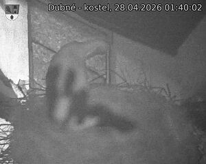 Capi_Dubne_20260428_014002.jpg (1350&nbsp;x&nbsp;1080)