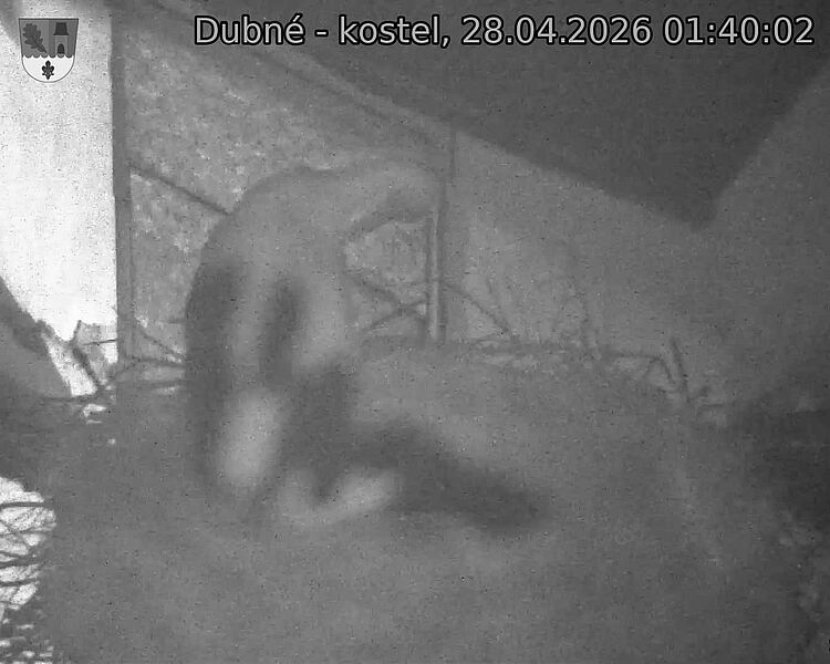 Capi_Dubne_20260428_014002.jpg (1350&nbsp;x&nbsp;1080)