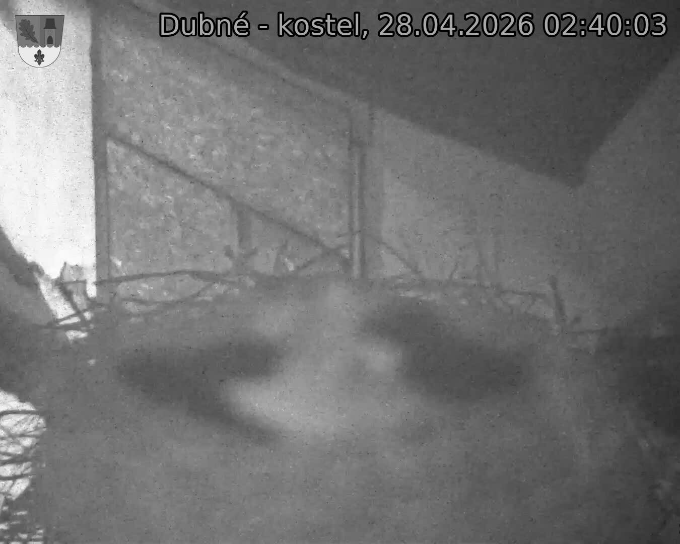 Capi_Dubne_20260428_024003.jpg (1350&nbsp;x&nbsp;1080)