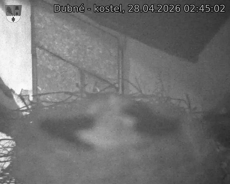 Capi_Dubne_20260428_024502.jpg (1350&nbsp;x&nbsp;1080)