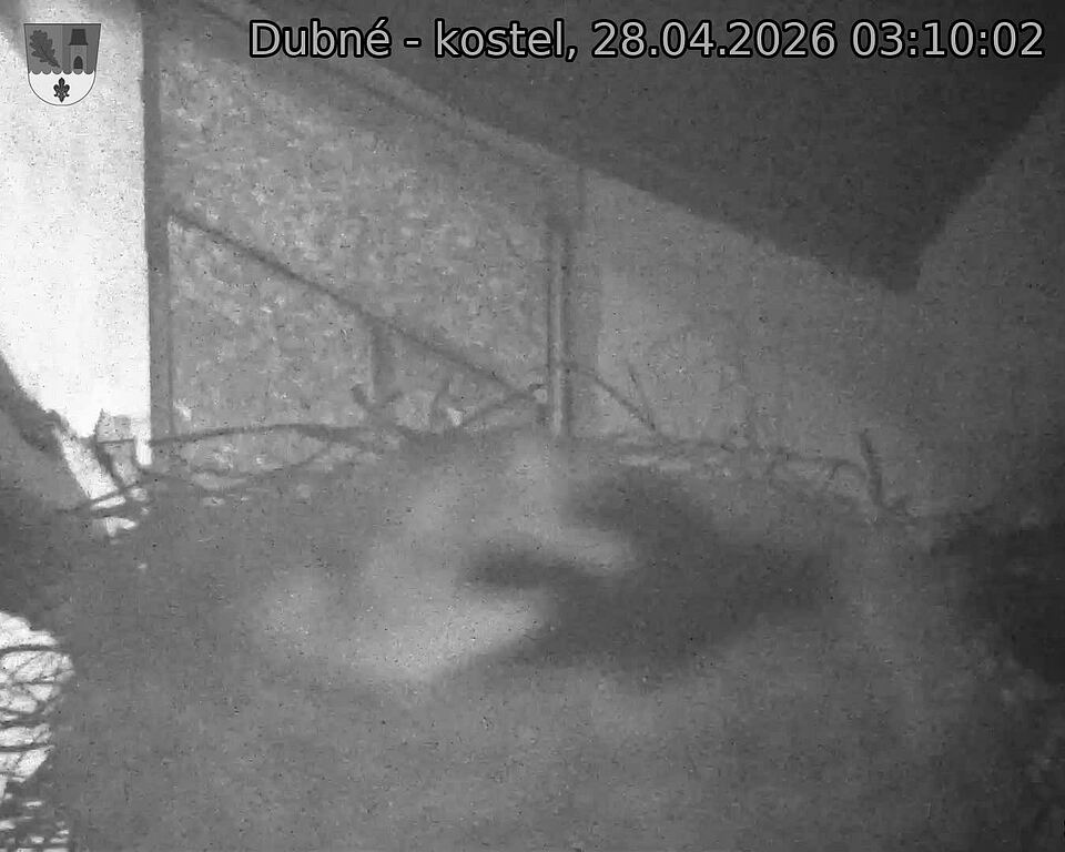 Capi_Dubne_20260428_031002.jpg (1350&nbsp;x&nbsp;1080)