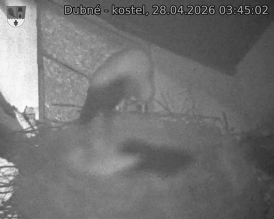 Capi_Dubne_20260428_034502.jpg (1350&nbsp;x&nbsp;1080)