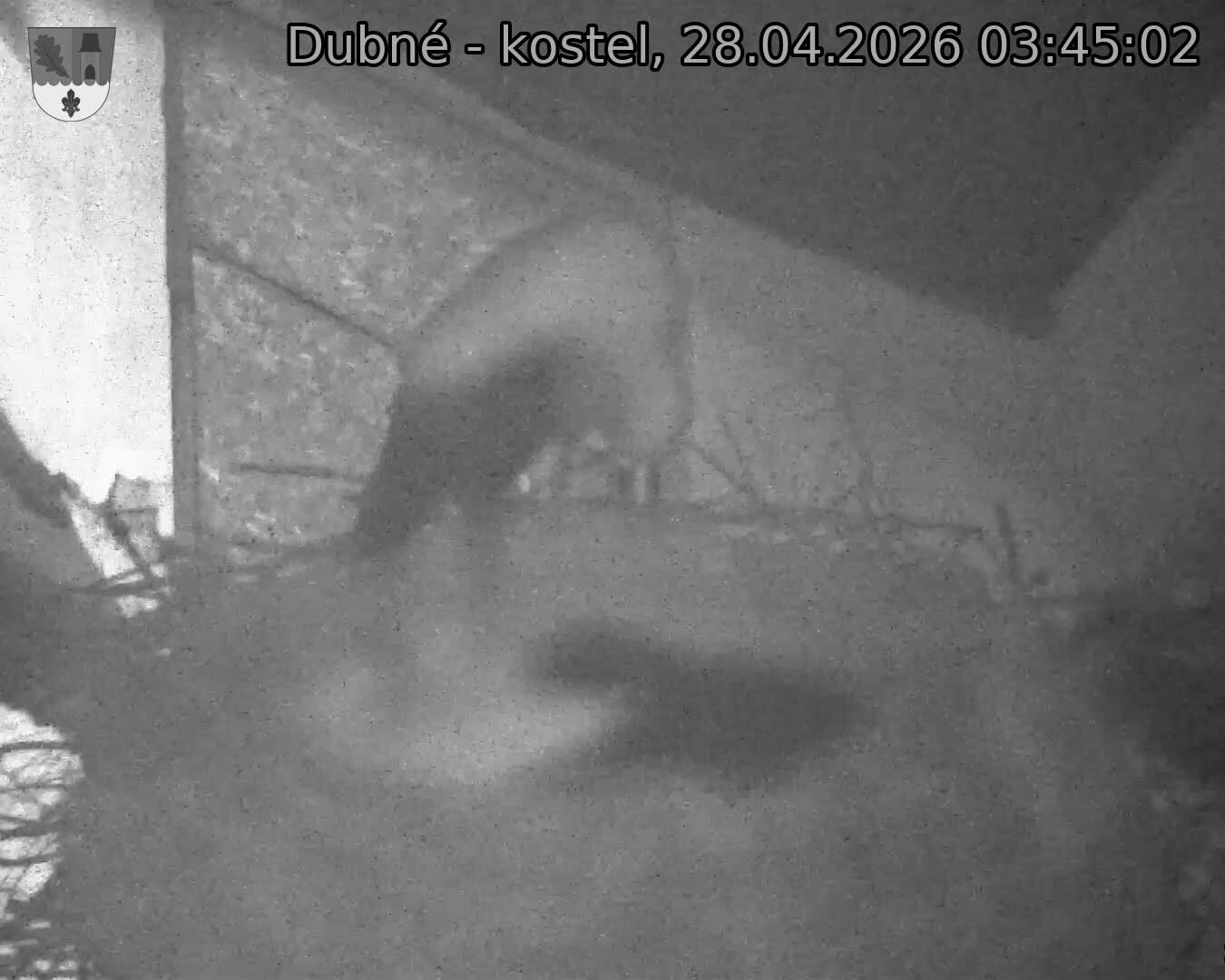 Capi_Dubne_20260428_034502.jpg (1350&nbsp;x&nbsp;1080)