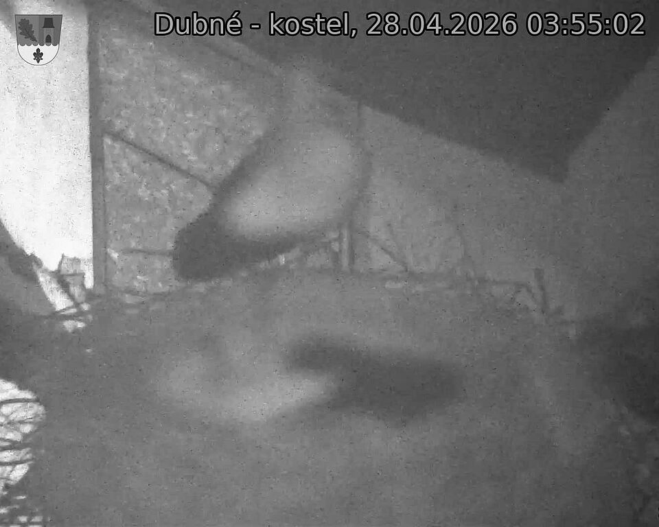 Capi_Dubne_20260428_035502.jpg (1350&nbsp;x&nbsp;1080)