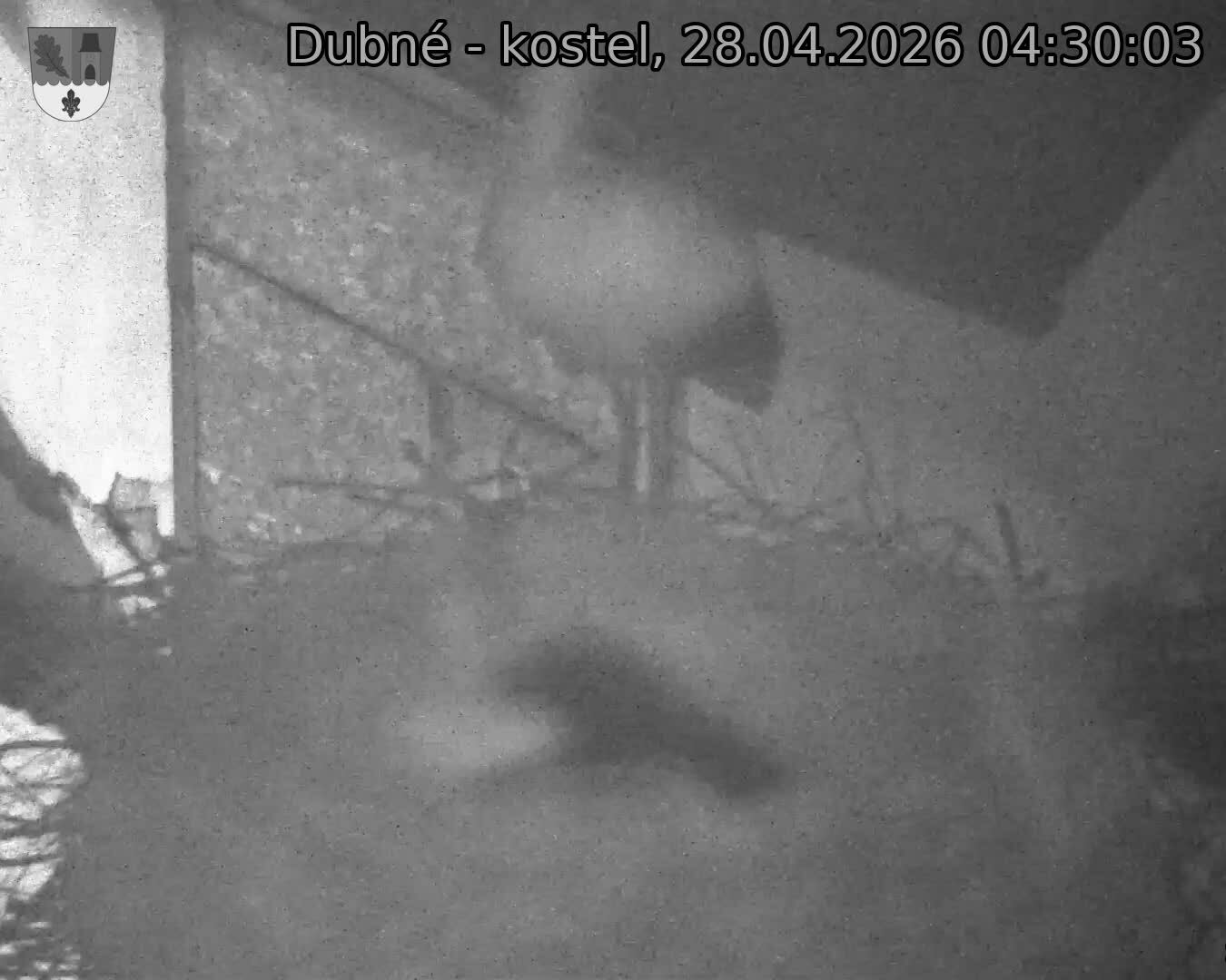 Capi_Dubne_20260428_043003.jpg (1350&nbsp;x&nbsp;1080)