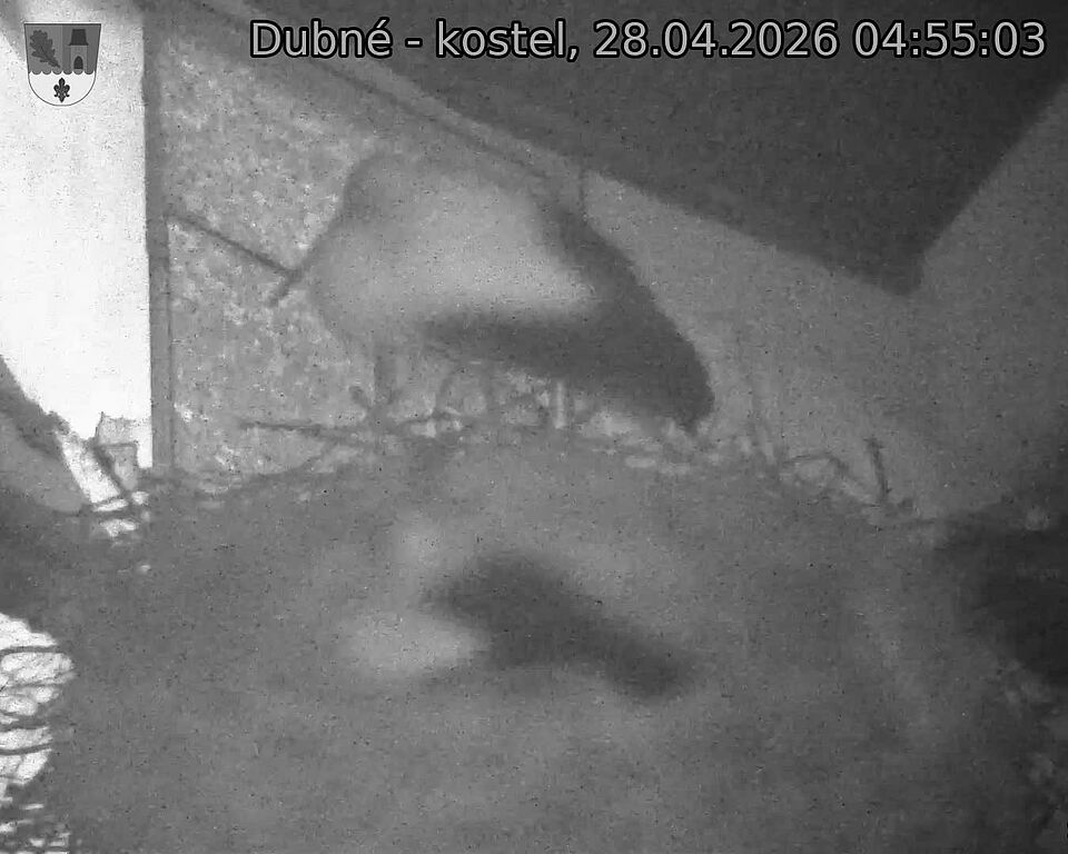 Capi_Dubne_20260428_045503.jpg (1350&nbsp;x&nbsp;1080)