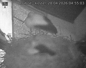 Capi_Dubne_20260428_045503.jpg (1350&nbsp;x&nbsp;1080)