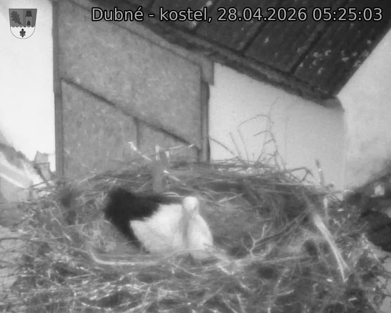 Capi_Dubne_20260428_052503.jpg (1350&nbsp;x&nbsp;1080)