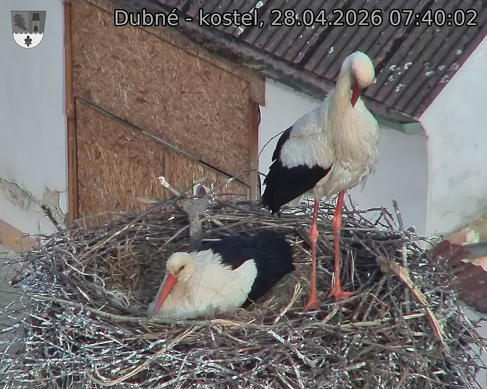 Capi_Dubne_20260428_074002.jpg (1350&nbsp;x&nbsp;1080)