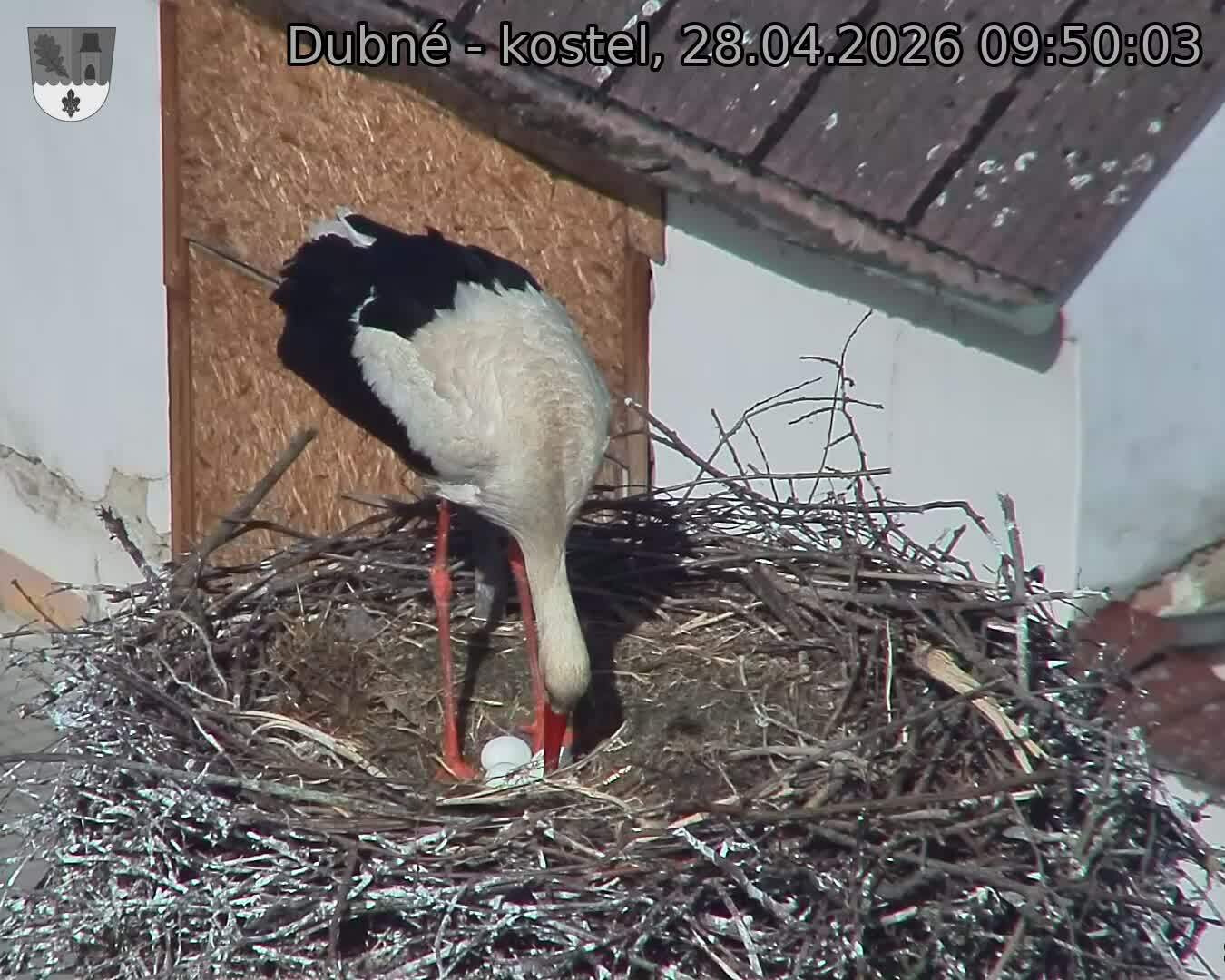 Capi_Dubne_20260428_095003.jpg (1350&nbsp;x&nbsp;1080)