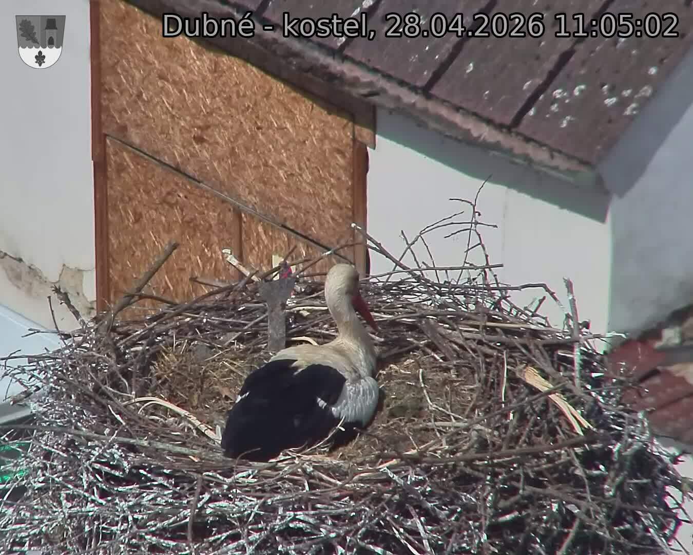 Capi_Dubne_20260428_110502.jpg (1350&nbsp;x&nbsp;1080)