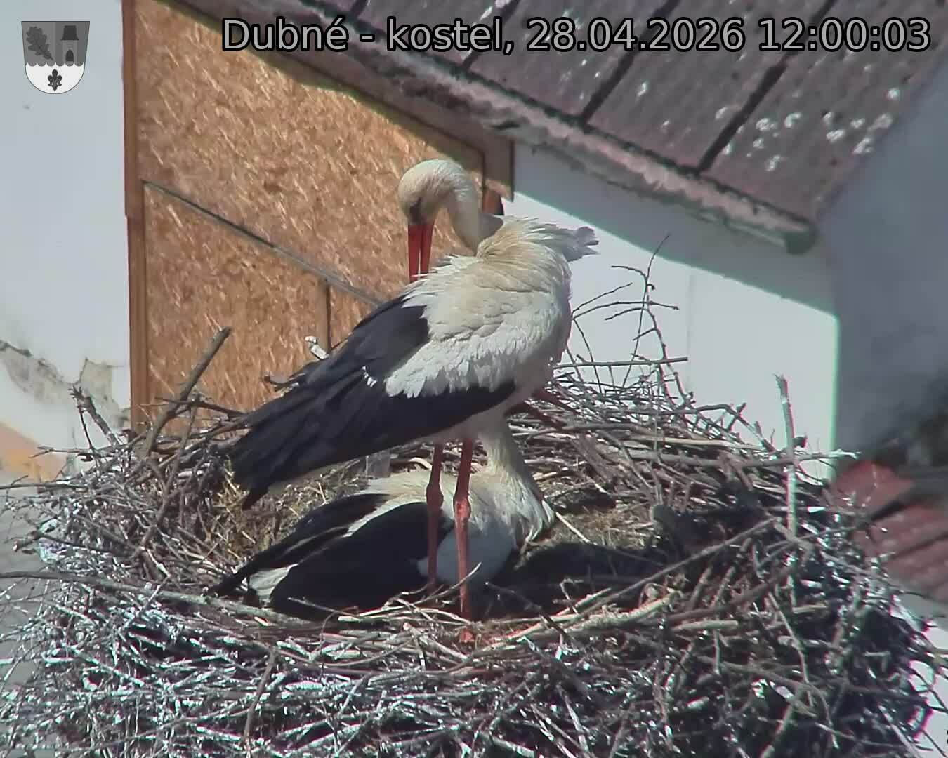 Capi_Dubne_20260428_120003.jpg (1350&nbsp;x&nbsp;1080)