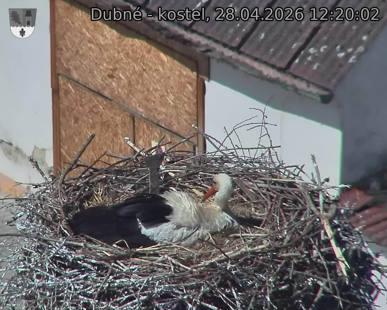 Capi_Dubne_20260428_122002.jpg (1350&nbsp;x&nbsp;1080)