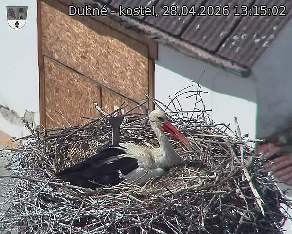 Capi_Dubne_20260428_131502.jpg (1350&nbsp;x&nbsp;1080)