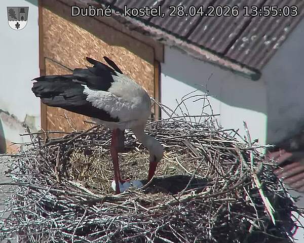 Capi_Dubne_20260428_135503.jpg (1350&nbsp;x&nbsp;1080)