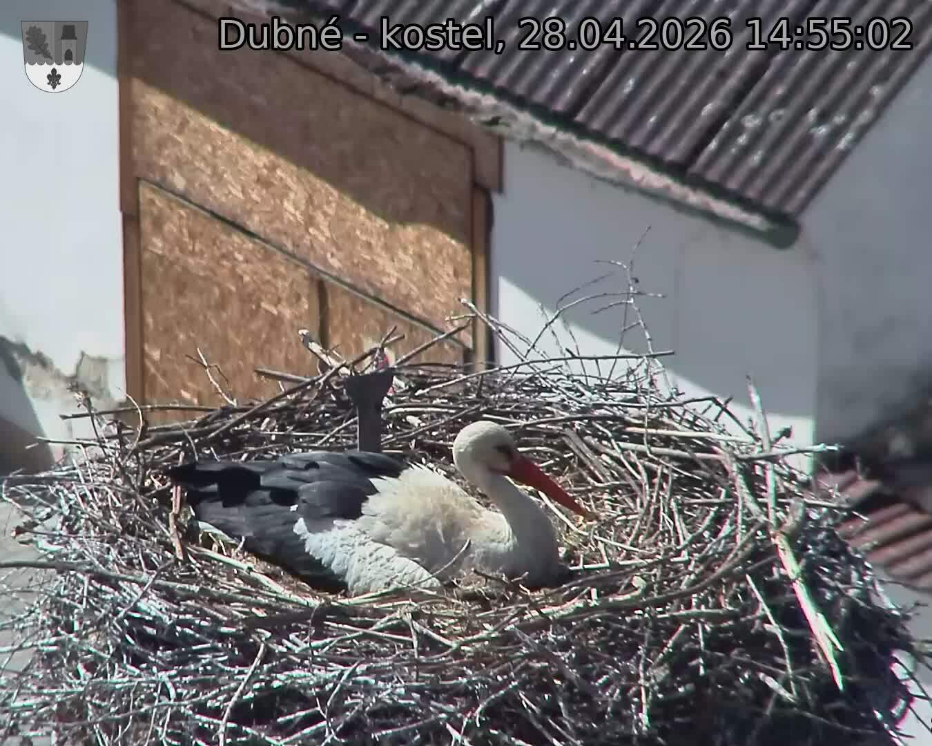 Capi_Dubne_20260428_145502.jpg (1350&nbsp;x&nbsp;1080)