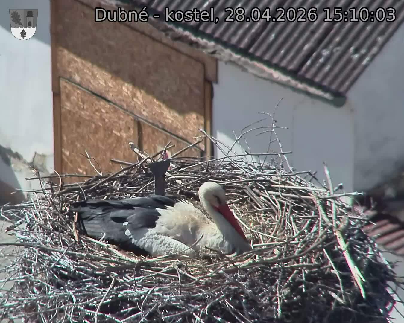 Capi_Dubne_20260428_151003.jpg (1350&nbsp;x&nbsp;1080)