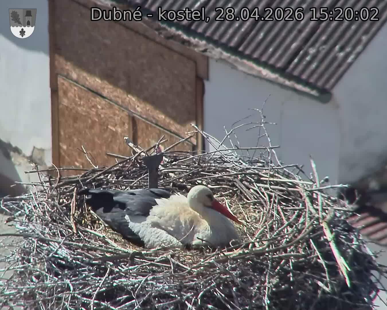 Capi_Dubne_20260428_152002.jpg (1350&nbsp;x&nbsp;1080)