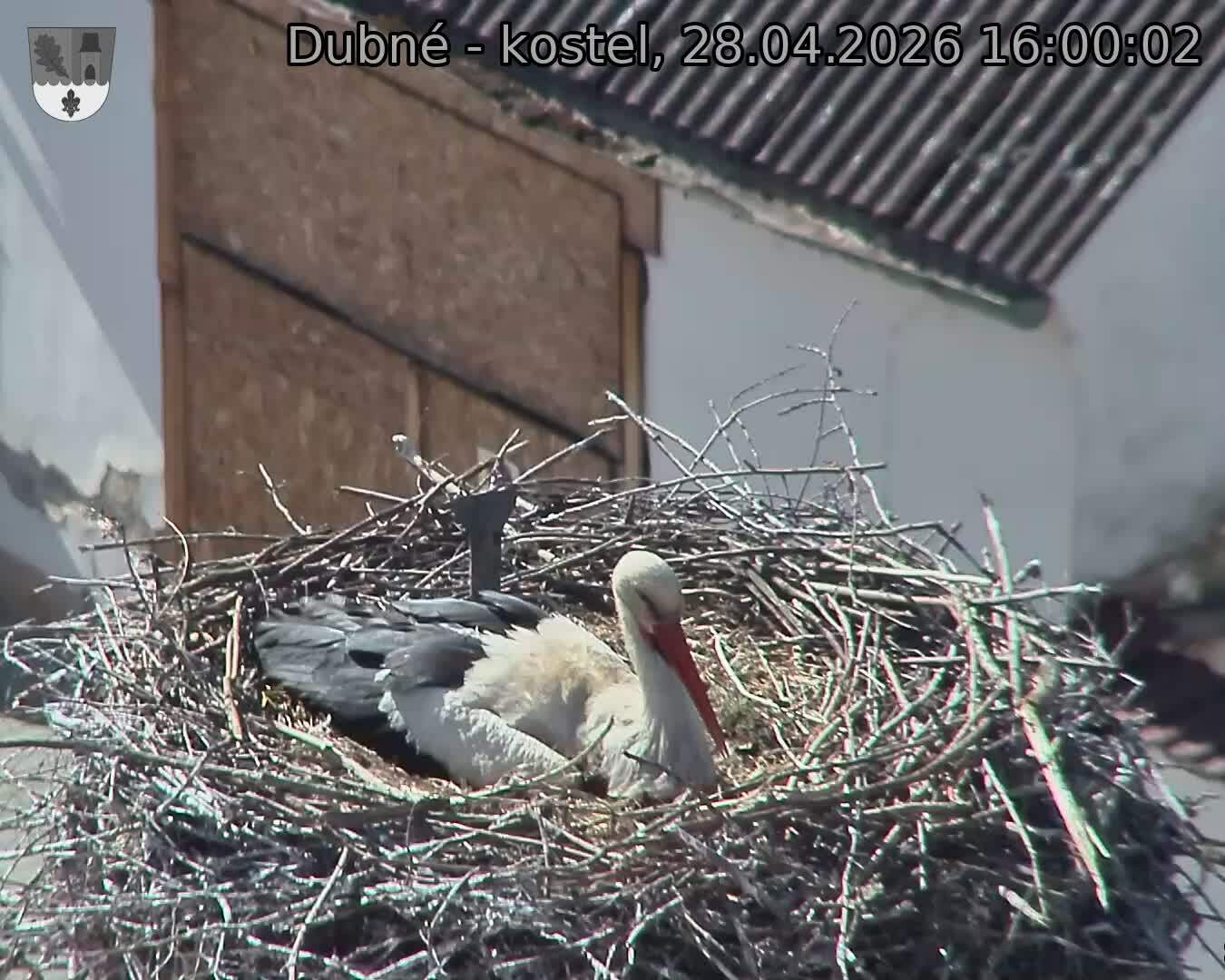 Capi_Dubne_20260428_160002.jpg (1350&nbsp;x&nbsp;1080)