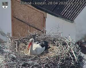 Capi_Dubne_20260428_165502.jpg (1350&nbsp;x&nbsp;1080)