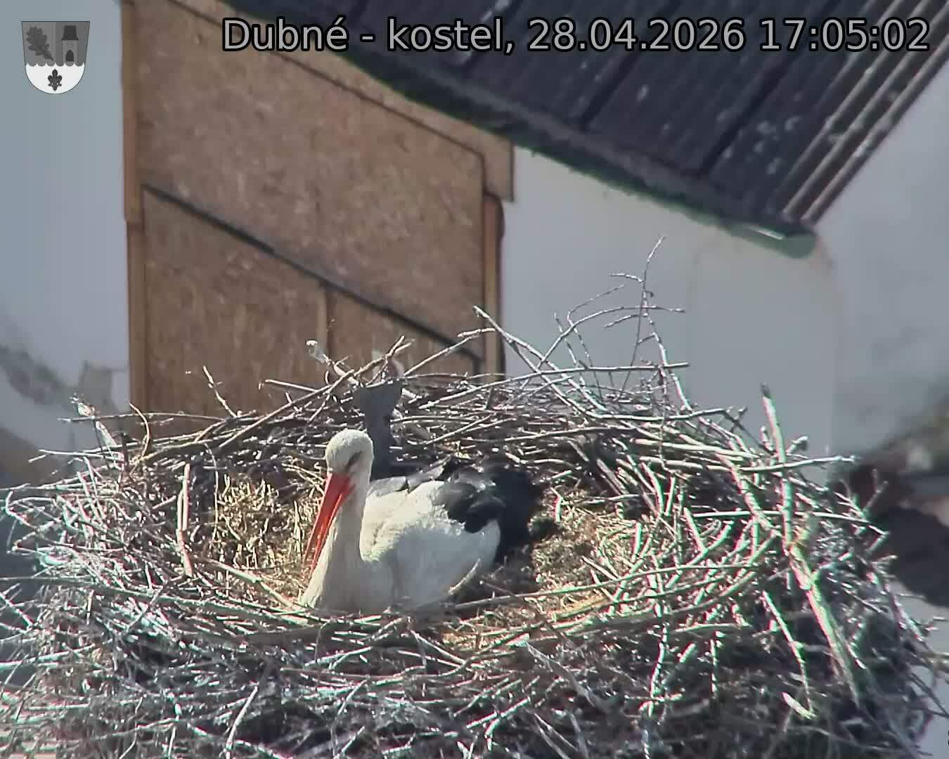 Capi_Dubne_20260428_170502.jpg (1350&nbsp;x&nbsp;1080)