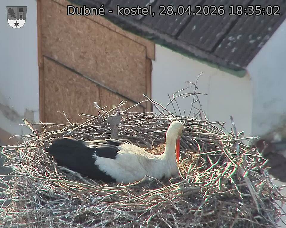 Capi_Dubne_20260428_183502.jpg (1350&nbsp;x&nbsp;1080)