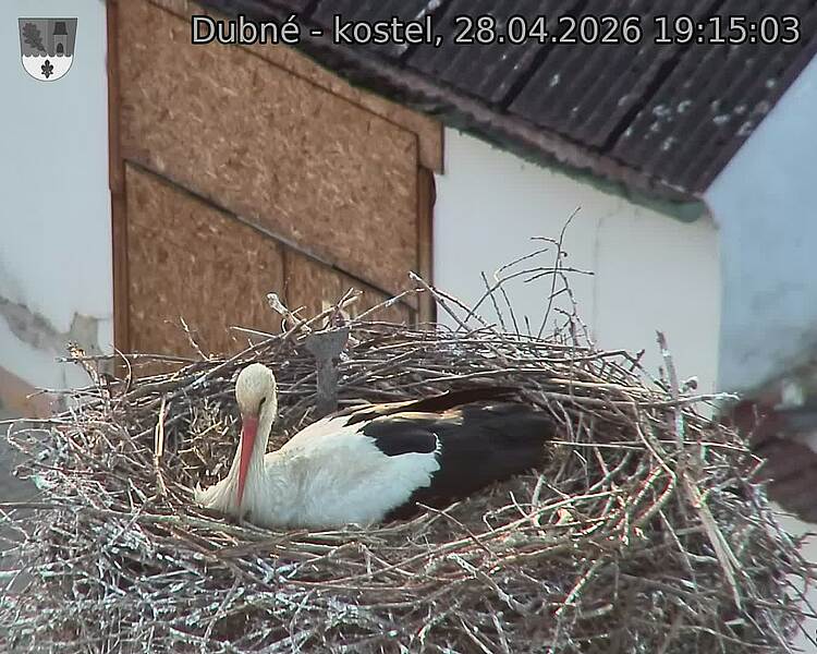 Capi_Dubne_20260428_191503.jpg (1350&nbsp;x&nbsp;1080)