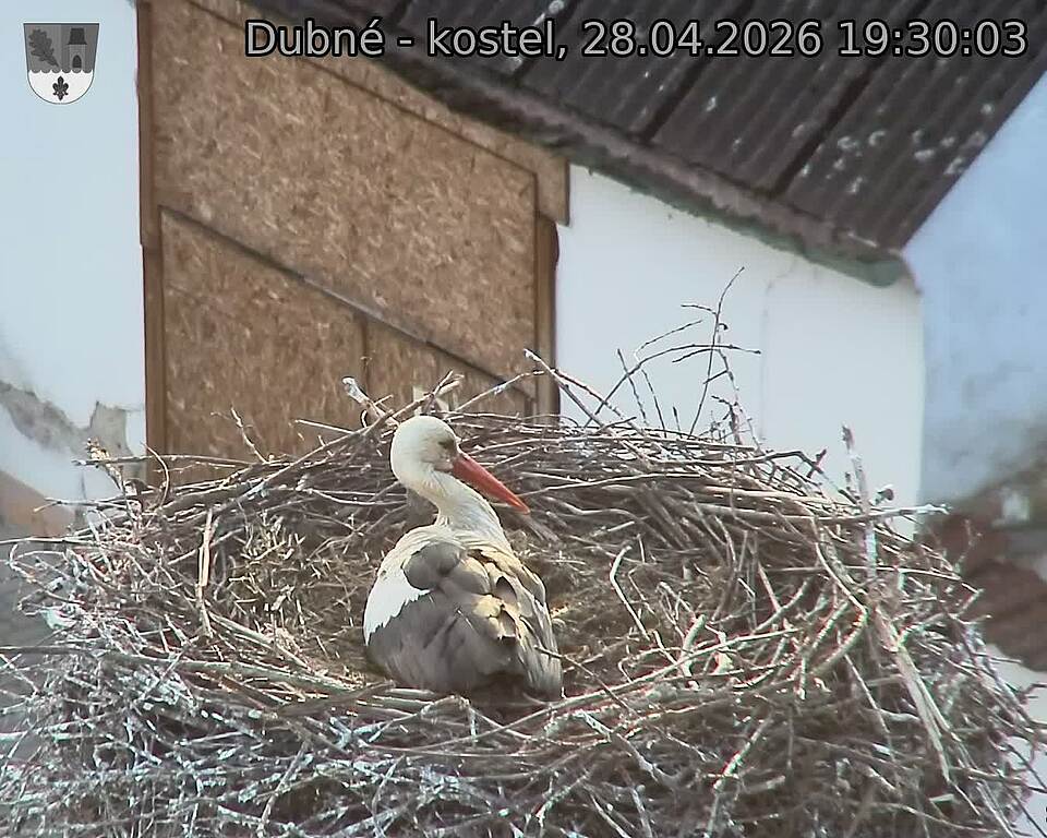 Capi_Dubne_20260428_193003.jpg (1350&nbsp;x&nbsp;1080)